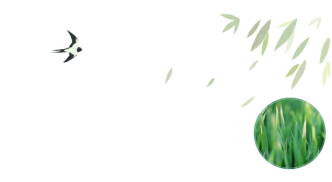 员工随笔丨抗“疫”过年，，，各人都还好吗？