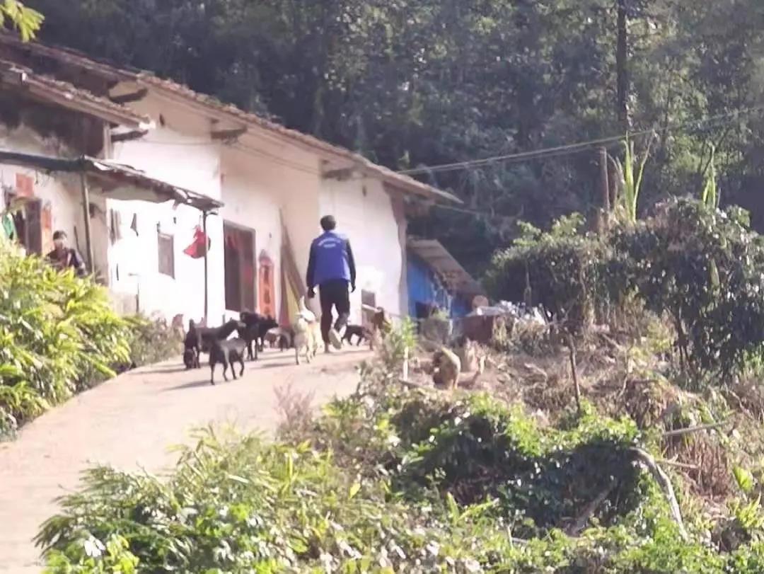 阳春房地一体项目纪实丨无悔青春多砥砺，，最是奋斗感人心