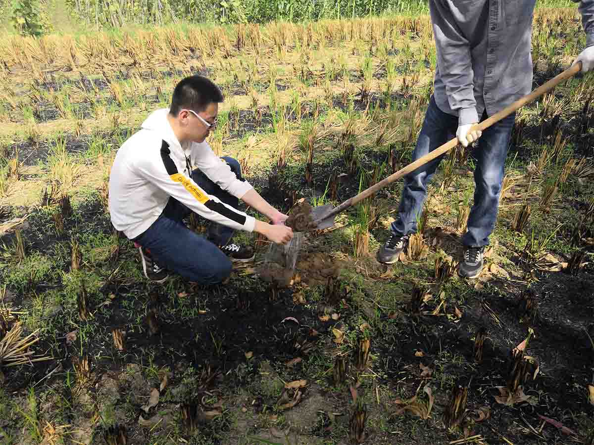 耕地质量品级评价项目