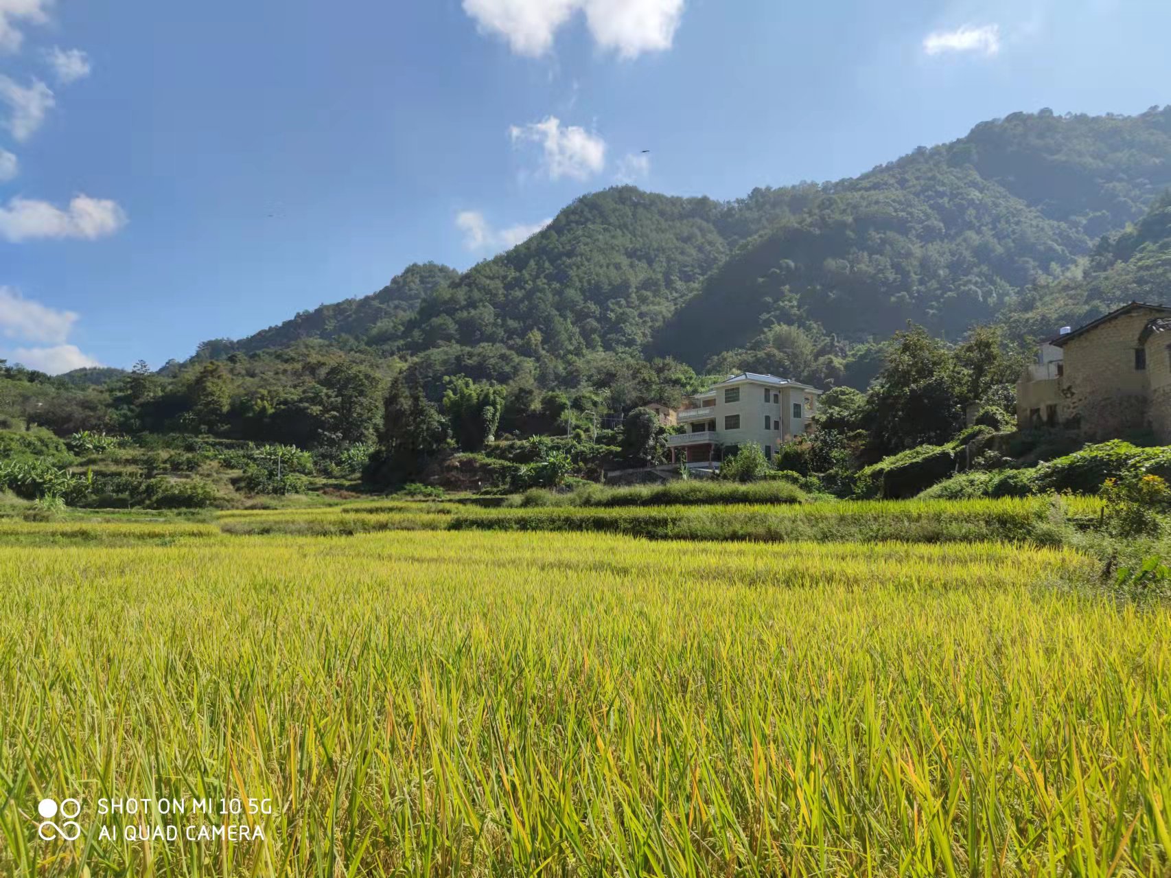 恢复（增补）耕地项目怎么干？？？1066vip威尼斯有话说