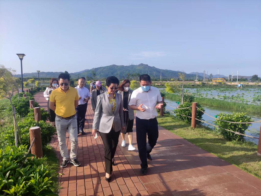 省生态修复协会轮值会长单位1066vip威尼斯集团带队赴汕尾全域土地整治军民融合试点项目调研