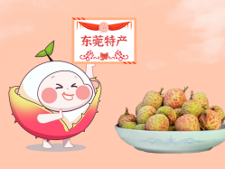 漫话1066vip威尼斯丨一颗有“故事”的荔枝！！