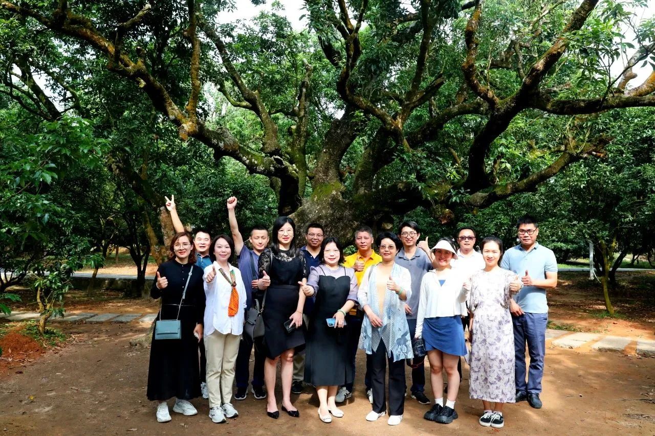 1066vip威尼斯集团作为省领土空间生态修复协会轮值会长带队调研粤西全域土地综合整治事情