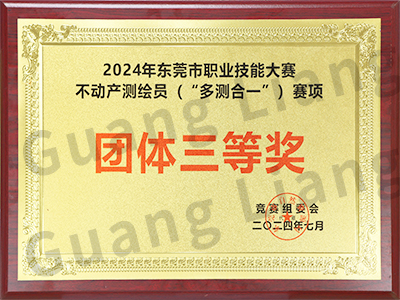 2024年东莞市职业手艺大赛不动产测绘员（“多测合一”）赛项团队三等奖