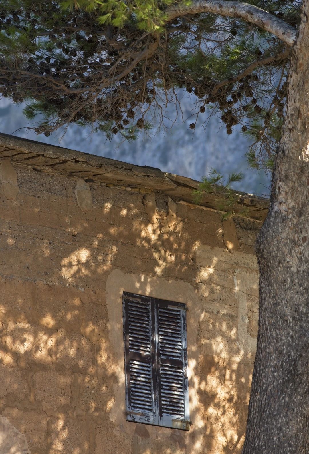 节日丨315特辑：：给老屋子的情书！！