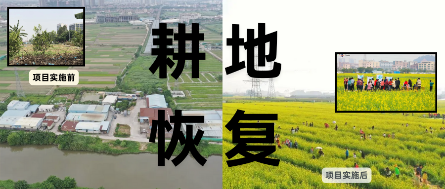 耕地；び刖蒙す踩凇甘泻窠终蛩谏缜读继锵钅扛鼗指从氤窍缛诤系牧⒁焓导