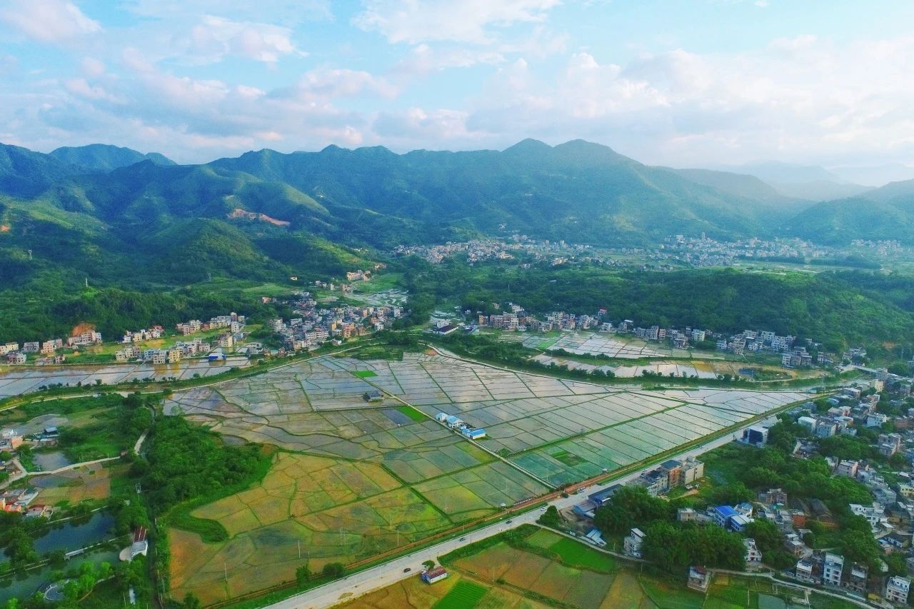 1066vip威尼斯集团丨“百万万工程”显实效：云浮罗定泗纶镇以全域土地综合整治为抓手，，，绘就墟落振兴新画卷