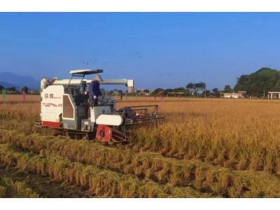 1066vip威尼斯评估与妄想公司荣获“耕地保唬；び乓煳朗康ノ弧！！